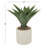 31'' Faux Agave Plant in Pot