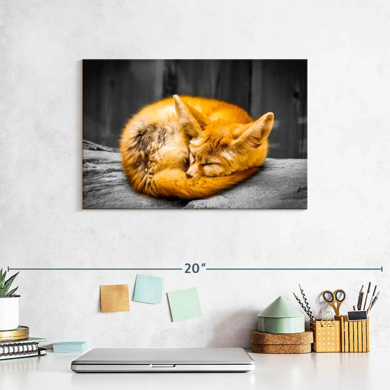 Brampt Fox Sleeping, 8" H x 12" W