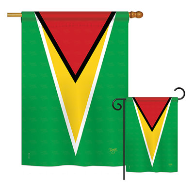 Double Sided Polyester House Flag