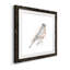 12_Robin Bird S croquis I-Premium, reproduction encadrée - prêt à être accroché-62719099-62719095