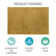 Spiceland Floral Polypropylene Area Rug in Solid Beige