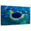 Nicci Belize's The Great Blue Hole-108950550