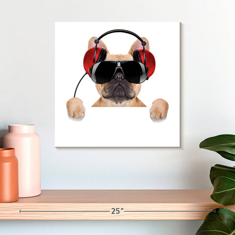 Bouledogue français Bramoph audiophile, H 16 po x l 16 po