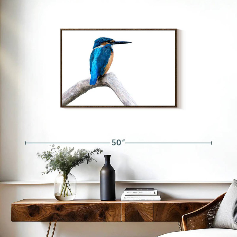Female Kingfisher Bird, Floating Frame Walnut, 31" X 21"