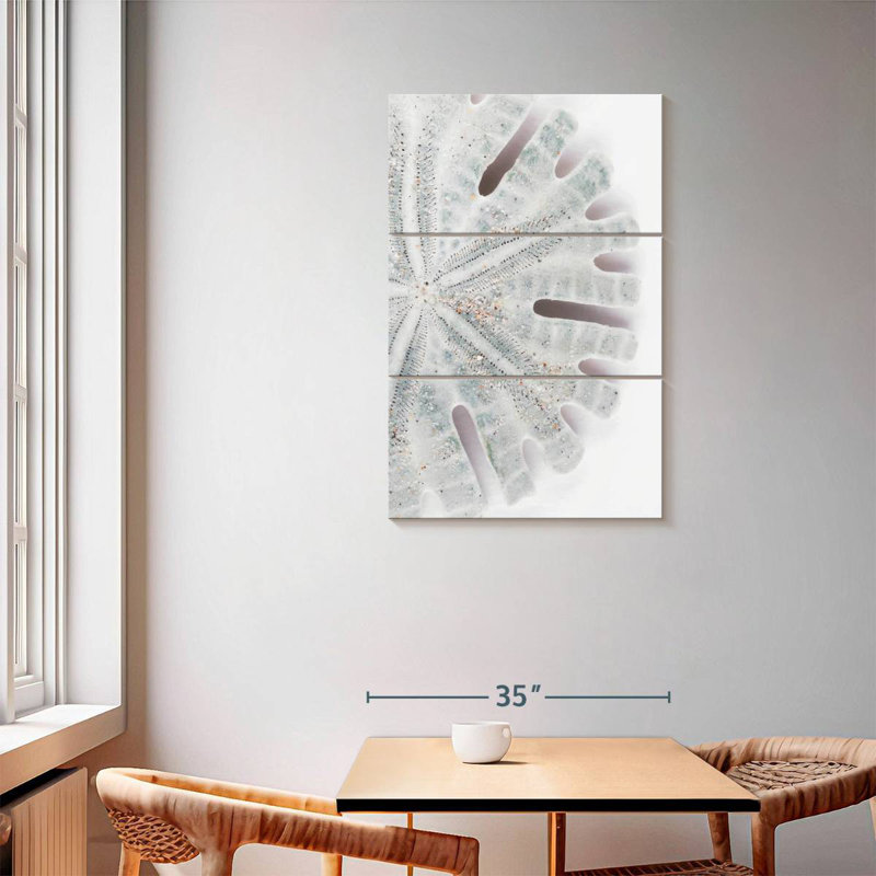 Brampt Florida Sand Dollar I, H 57 po x l 36 po