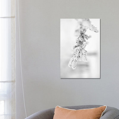 Hoarfrost Pine Brench by Nik Rave - Wrapped Canvas Gallery-Wrapped Canvas Giclée