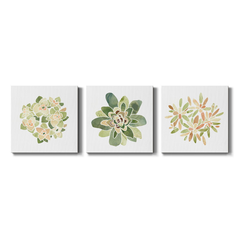 «Succulent Cameo», ensemble de 3 toiles tendues, H 40 po x l 80 po x P 1 po