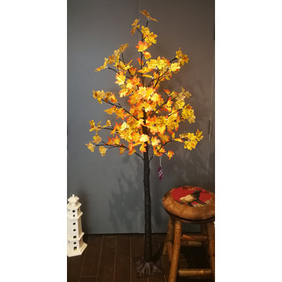 Arbre lumineux pour érable pré-éclairé