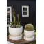 Scout Archer Planter-402529596