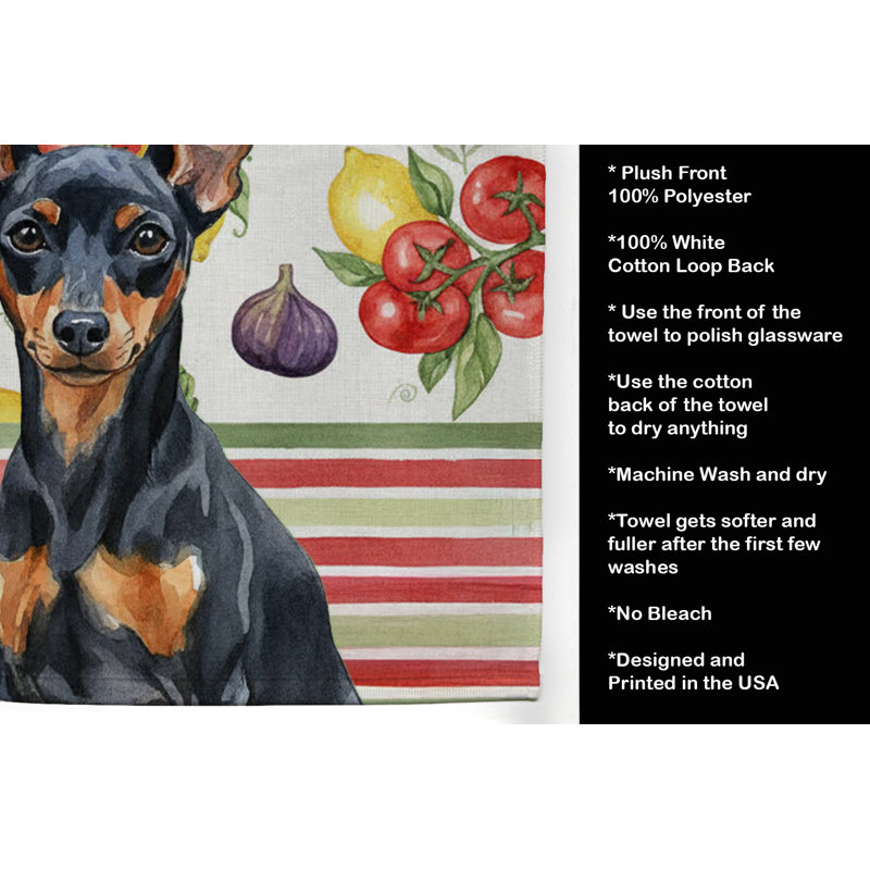 Torchon noir et brun clair avec légumes Pinscher, Black/Tan Miniature Pinscher