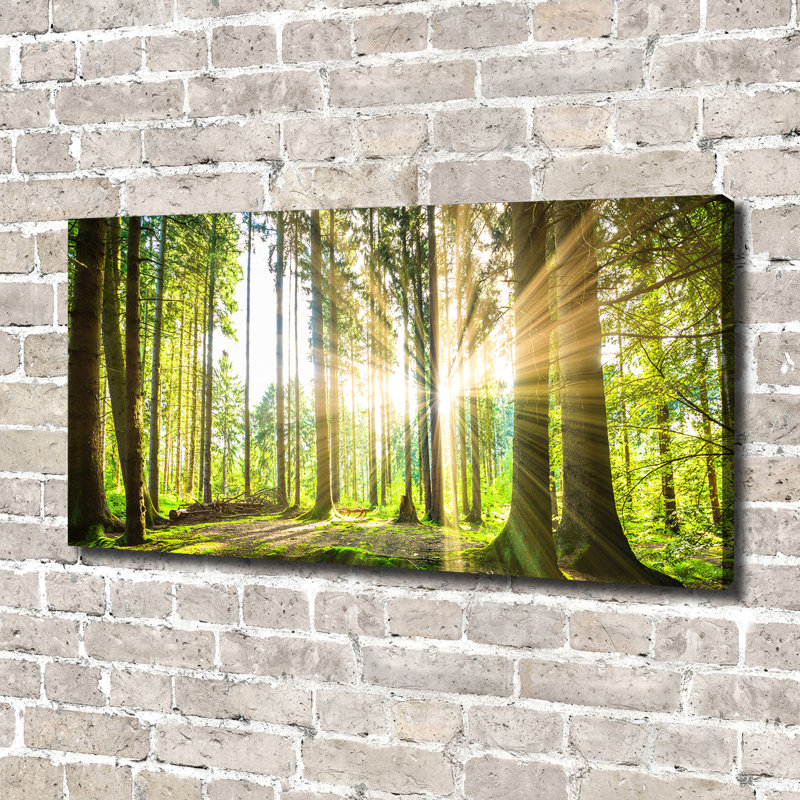 Forest In The Sun - No Frame Print on Glass, 70cm H x 100cm W x 4cm D, Glass
