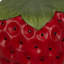 Tabouret de jardin en résine Strawberry