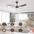 52'' Ceiling Fan Light With Remote