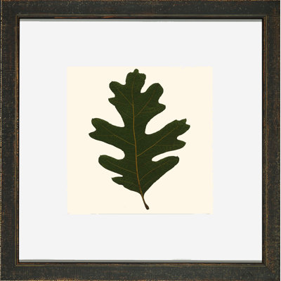 Small Pressed Leaves I Print