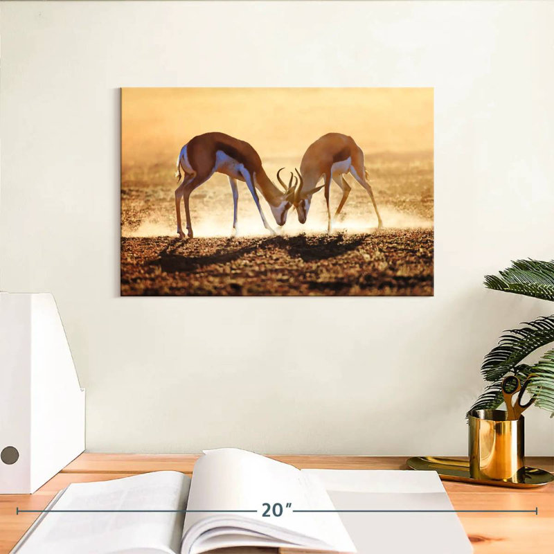 Brampt Antelope Springbok Duel, 8" H x 12" W