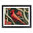 Black Framed selected