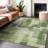 Premium Machine Washable Lisse Green Rug-1872318636