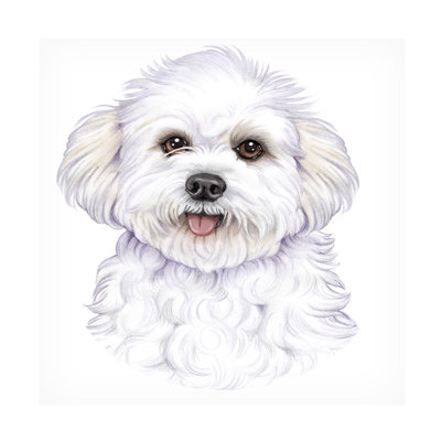 Art sur toile Bichon frisé par Tomoyo Pitcher