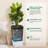 2PACK Tall Planter Set, Indoor & Outdoor Taper Planter with Shelf Insert, Self-Absorbing Plastic Flower Pots, Large Resin Plant Pots for Outdoor Plants and Front Porch Decor-1145280201-1145280204