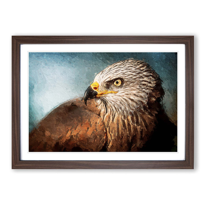 Portrait of a Red Kite Bird - Picture Frame Painting Print on MDF, Walnut Framed, 27cm H x 36cm W x 2cm D