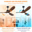 Ventilateur de plafond Quiet
