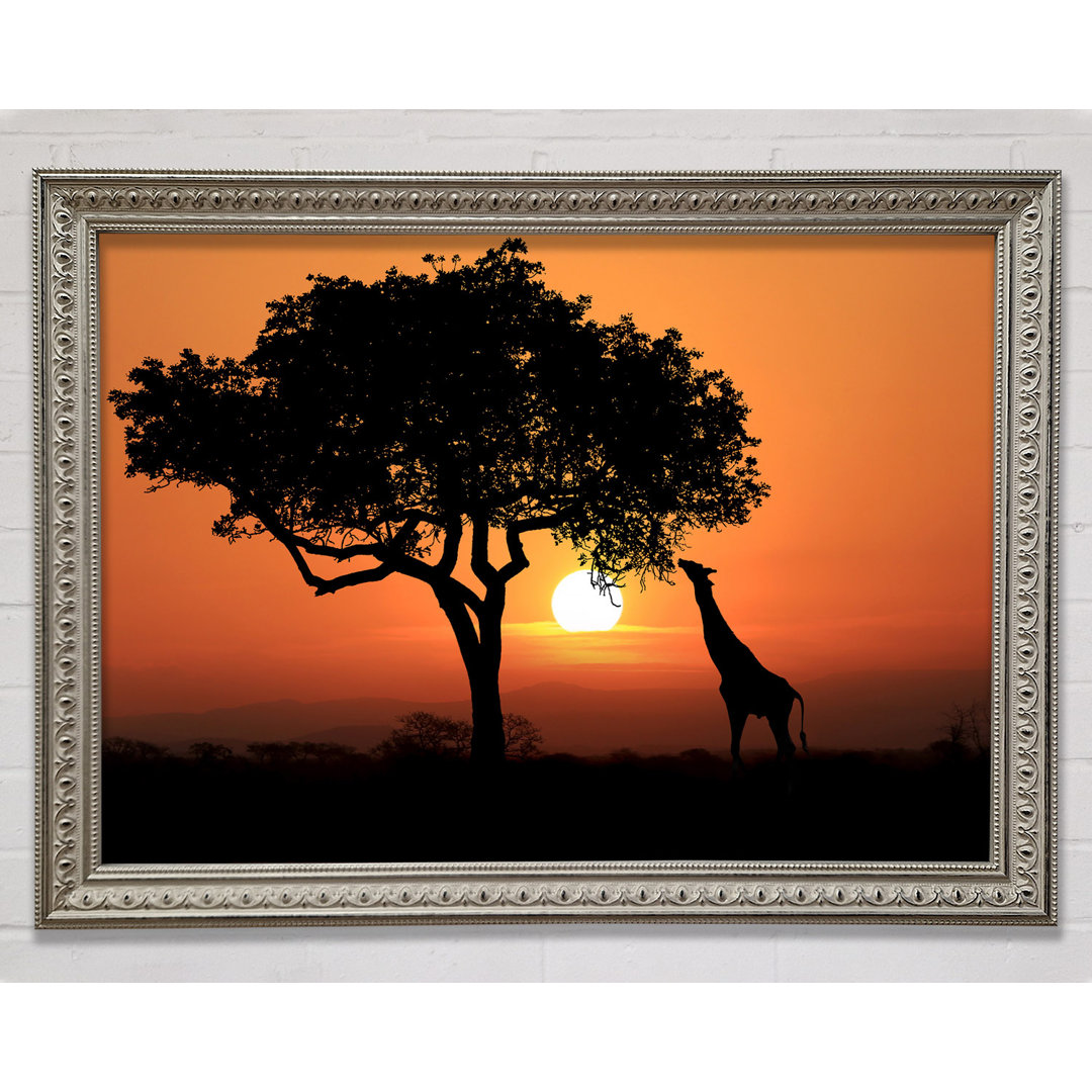 Gerahmtes Bild Giraffe Safari Sunset