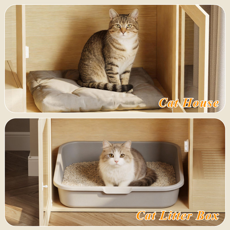 Litter Box