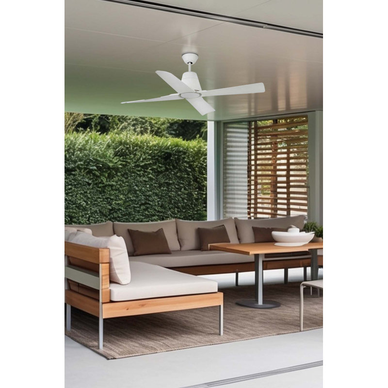 Typhoon Ceiling Fan