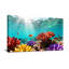 Paysage et nature, récif de corail sous-marin avec poissons et lumière du soleil-31487225