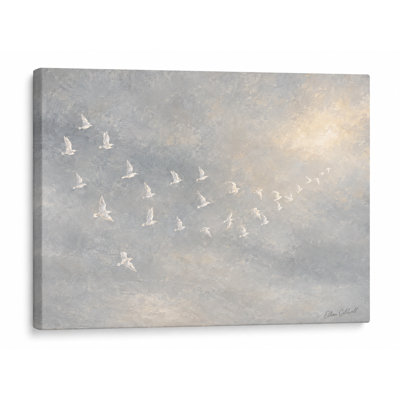 Gray Gold Seagull Sky Wrapped Ingwer