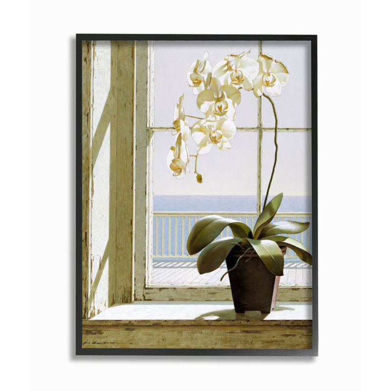 «White Orchid in Window» par Zhen-Huan Lu - impression d'art graphique, Giclée encadrée noir minuit