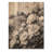 Monochrome Peonies And The Windmill I - Peonies Wood Wall Decor - On Natural Pine Wood-355612672