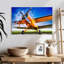 Avion Mehar Orange-107673037