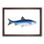 Alpine Charr Fish by Edward Donovan - Single Picture Frame Painting-55545111-55545115