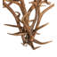 Antlers 8 - Light Chandelier