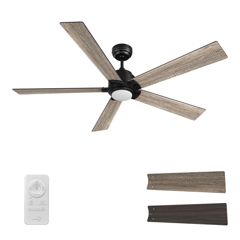 Ventilateur de plafond avec lumières DEL , Noir