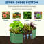 Lit de jardin surélevé galvanisé 6 x 3 x 2 pi, boîte à fleurs ovale en métal robuste avec fond ouvert et bords sécuritaires-2120599909