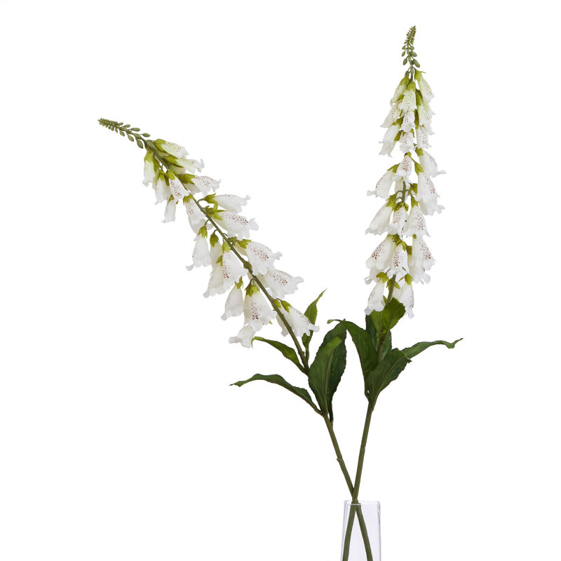 The Natural Garden Collection Foxglove, 11cm H x 6cm W x 6cm D, White