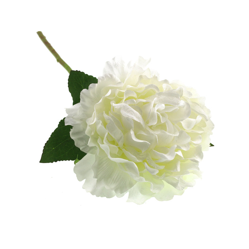 Arrangement, White