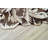 Floral Indoor Rug-337580597