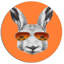Animal avec lapin et lunettes de soleil sur toile - Lapin amusant-33311293-19408307