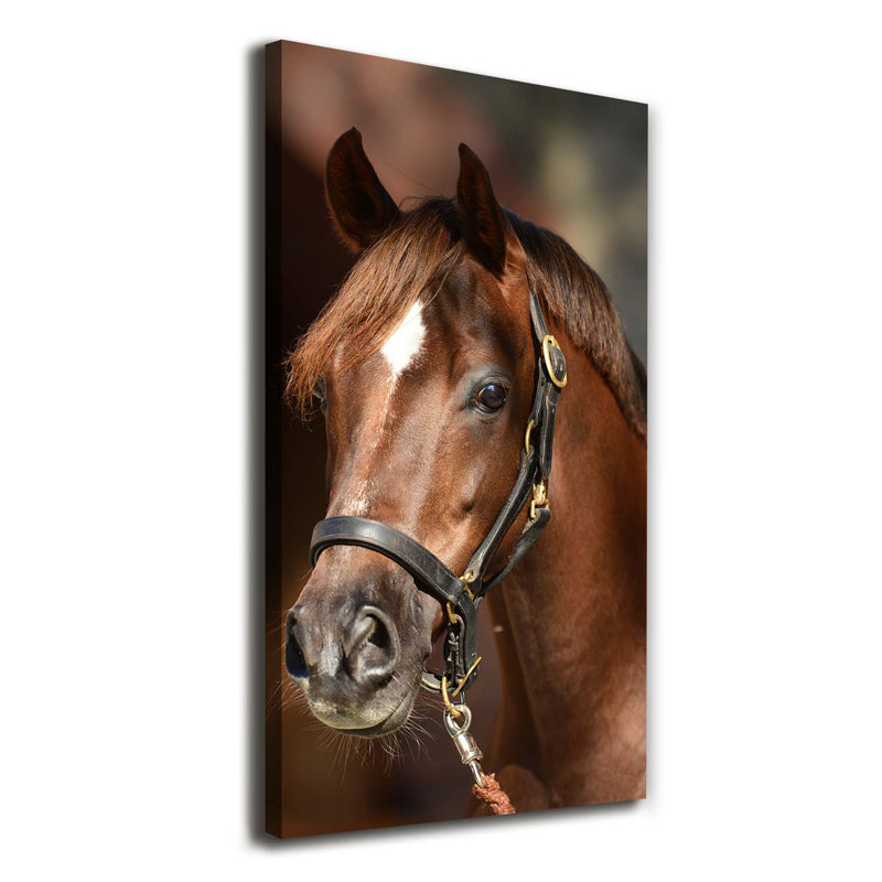 Portrait Of A Horse - Wrapped Canvas Print