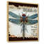 Libellule bleue rétro-355354169-355354173