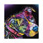 Life Is Just Better by Dean Russo - Print on Canvas-41186236-56676971