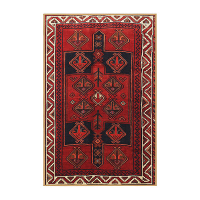Oriental Indoor Rug