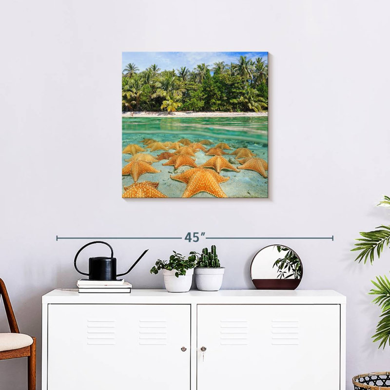 Étoiles de mer Gillard au repos, H 10 po x l 10 po