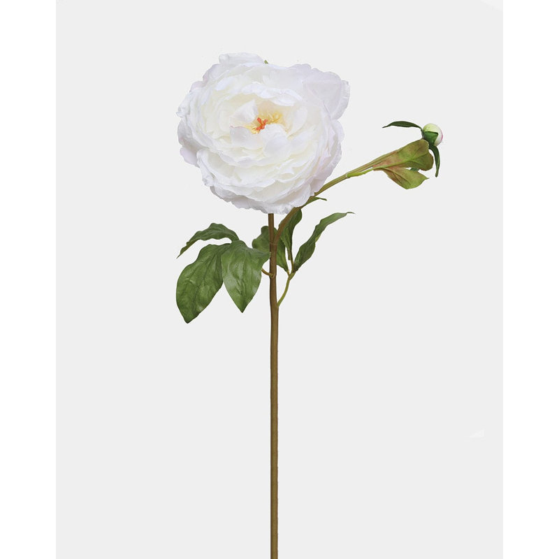 Pivoine blanche 19,5 po, White