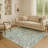 Premium Machine Washable Ariel Global Rug-1410105847