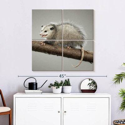Bramoss Snarky Opossum