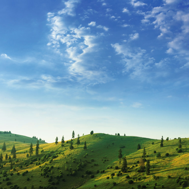 Mountain Pasture With Pines by Mammuth - Wrapped Canvas Print
